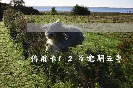 信用卡12万逾期五年 信用卡12万逾期五年