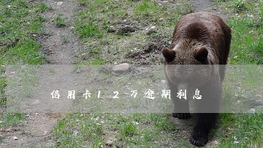 信用卡12万逾期利息 信用卡12万逾期利息