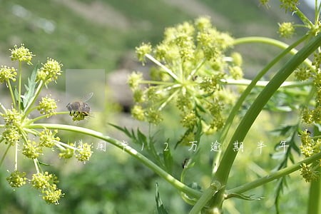 信用卡12万逾期半年 信用卡12万逾期半年