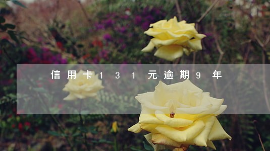 信用卡131元逾期9年 信用卡131元逾期9年