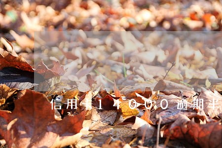 信用卡14000逾期半年