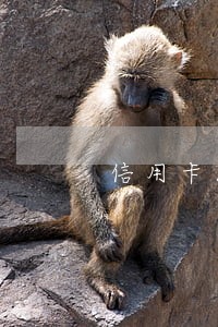 信用卡14万逾期后果