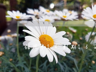 信用卡14到期15还逾期吗