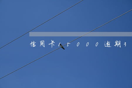 信用卡15000逾期3月