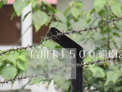 信用卡1500逾期2年