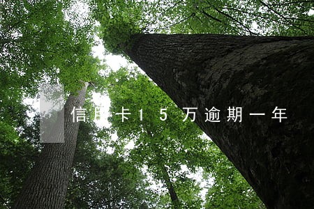 信用卡15万逾期一年