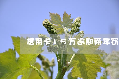 信用卡15万逾期两年罚息 信用卡15万逾期两年罚息