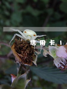 信用卡15万逾期半年