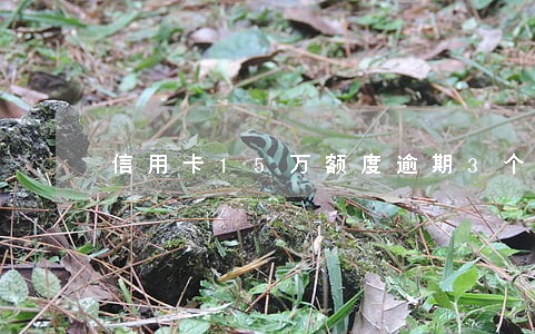 信用卡15万额度逾期3个月 信用卡15万额度逾期3个月
