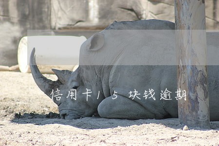 信用卡15块钱逾期