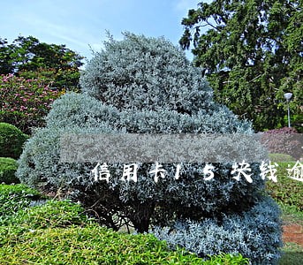 信用卡15块钱逾期七天