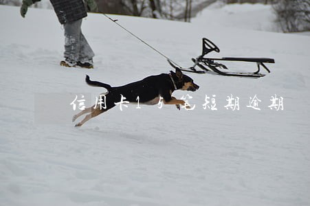 信用卡15笔短期逾期