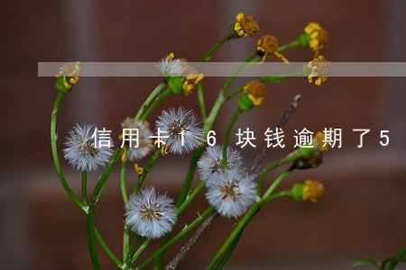 信用卡16块钱逾期了5天 信用卡16块钱逾期了5天