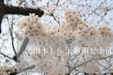 信用卡16天逾期会上征信吗 信用卡16天逾期会上征信吗