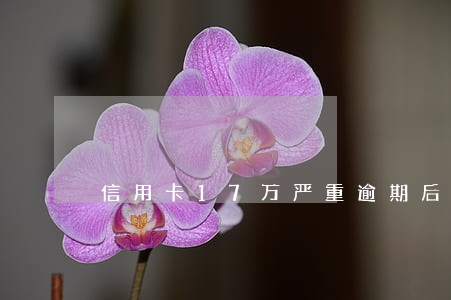 信用卡17万严重逾期后果 信用卡17万严重逾期后果