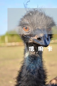 信用卡17万多逾期多久会判刑 信用卡17万多逾期多久会判刑
