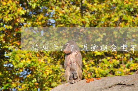 信用卡17万逾期会坐牢吗 信用卡17万逾期会坐牢吗