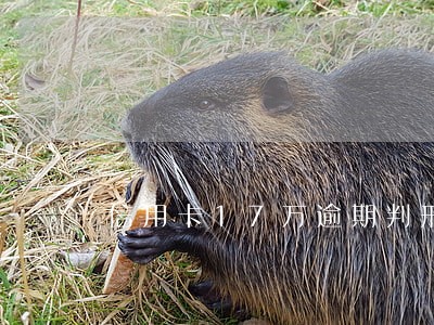 信用卡17万逾期判刑怎样还