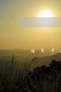 信用卡17个月逾期