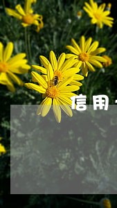 信用卡17次逾期还能办贷款吗 信用卡17次逾期还能办贷款吗