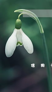 信用卡180天逾期解冻