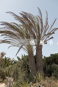 信用卡18块钱逾期多久上征信
