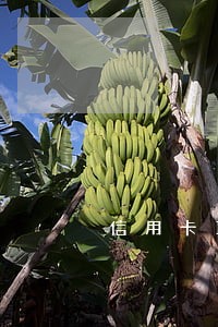 信用卡18次逾期 信用卡18次逾期