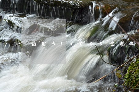 信用卡19000逾期三个月了 信用卡19000逾期三个月了