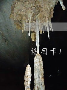 信用卡19元逾期