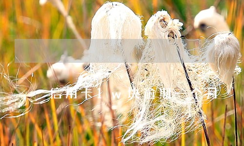信用卡1w块逾期一个月 信用卡1w块逾期一个月