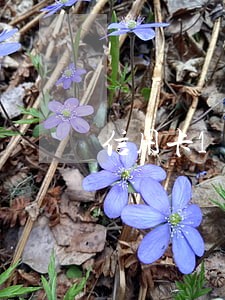 信用卡1w逾期的利息怎么算 信用卡1w逾期的利息怎么算