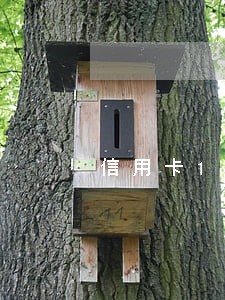信用卡1万5逾期2个月