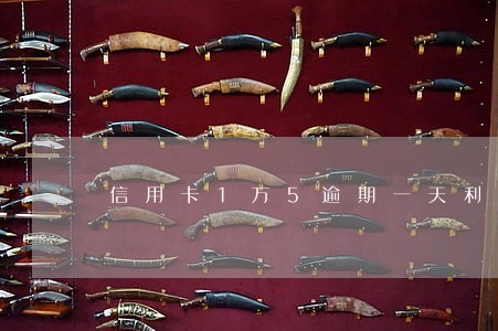 信用卡1万5逾期一天利息 信用卡1万5逾期一天利息
