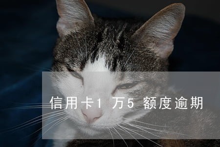 信用卡1万5额度逾期 信用卡1万5额度逾期