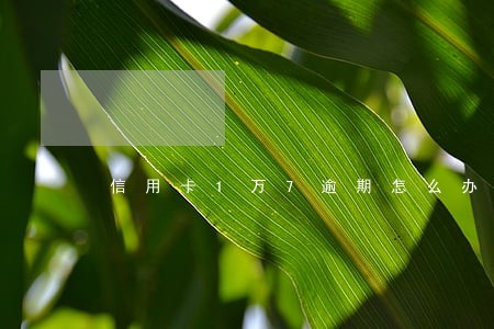 信用卡1万7逾期怎么办 信用卡1万7逾期怎么办