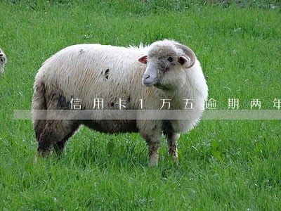 信用卡1万五逾期两年会不会判刑