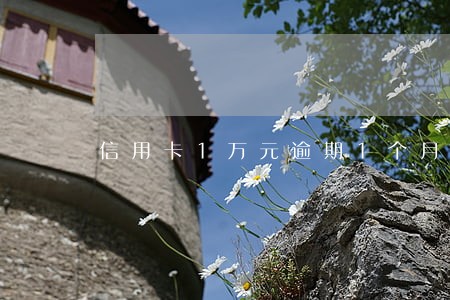 信用卡1万元逾期1个月 信用卡1万元逾期1个月