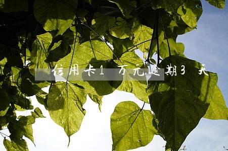信用卡1万元逾期3天