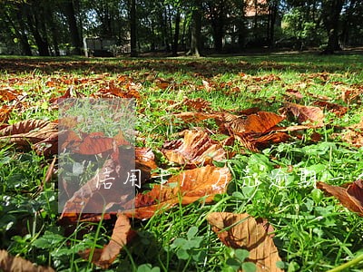 信用卡1万元逾期一个月