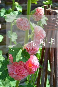 信用卡1万八逾期交行说报案 信用卡1万八逾期交行说报案