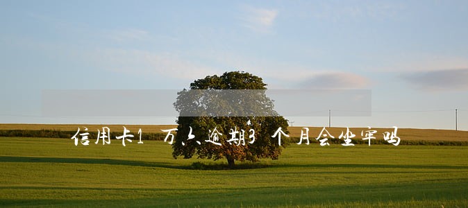 信用卡1万六逾期3个月会坐牢吗 信用卡1万六逾期3个月会坐牢吗