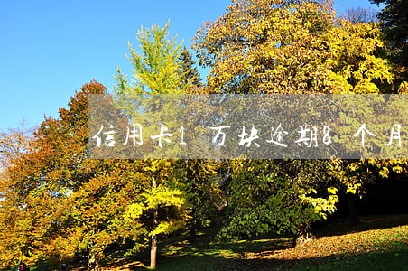 信用卡1万块逾期8个月 信用卡1万块逾期8个月