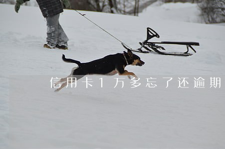 信用卡1万多忘了还逾期了