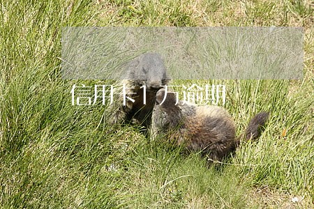 信用卡1万逾期 信用卡1万逾期