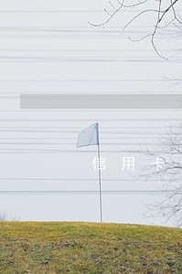 信用卡1万逾期10个月还款
