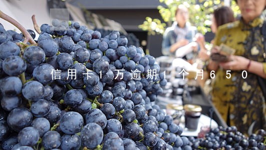 信用卡1万逾期1个月650 信用卡1万逾期1个月650