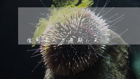信用卡1万逾期1天 信用卡1万逾期1天