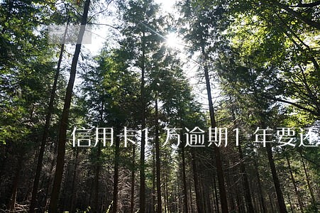 信用卡1万逾期1年要还多少钱