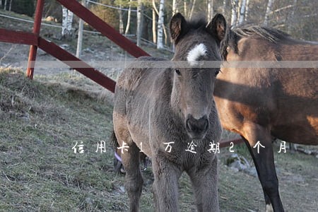 信用卡1万逾期2个月 信用卡1万逾期2个月