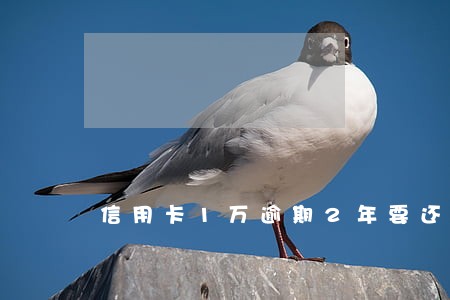 信用卡1万逾期2年要还多少